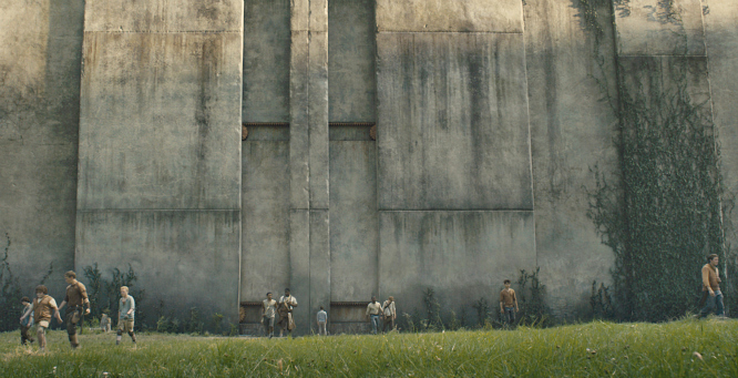 Maze Runner
